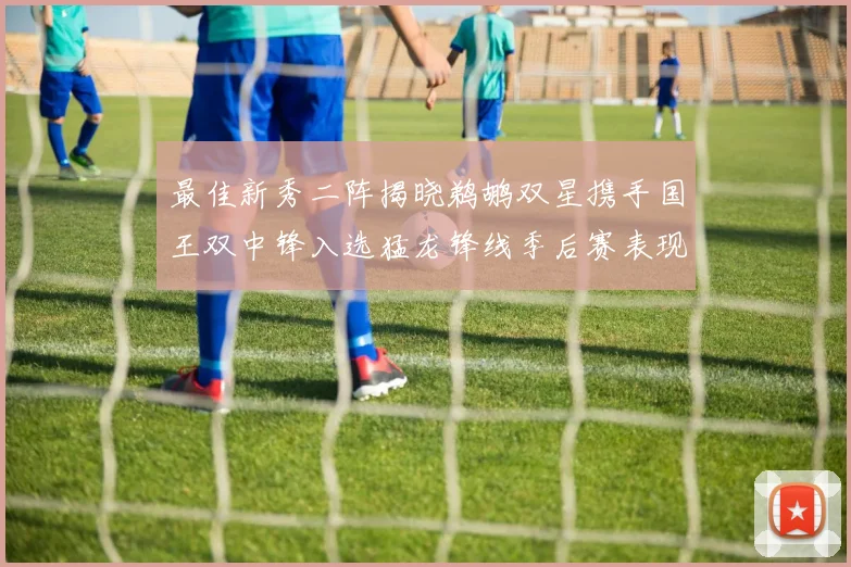 最佳新秀二阵揭晓鹈鹕双星携手国王双中锋入选猛龙锋线季后赛表现抢眼